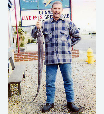 212_American Eel_Anguilla rostrata.jpg